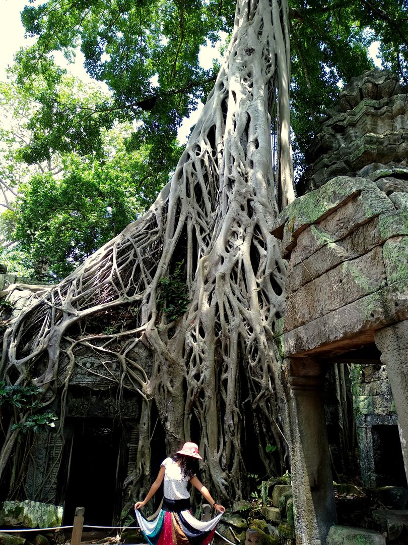 Ta Prohm Tomb Raider tree