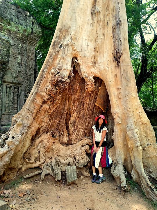 Ta Prohm temple