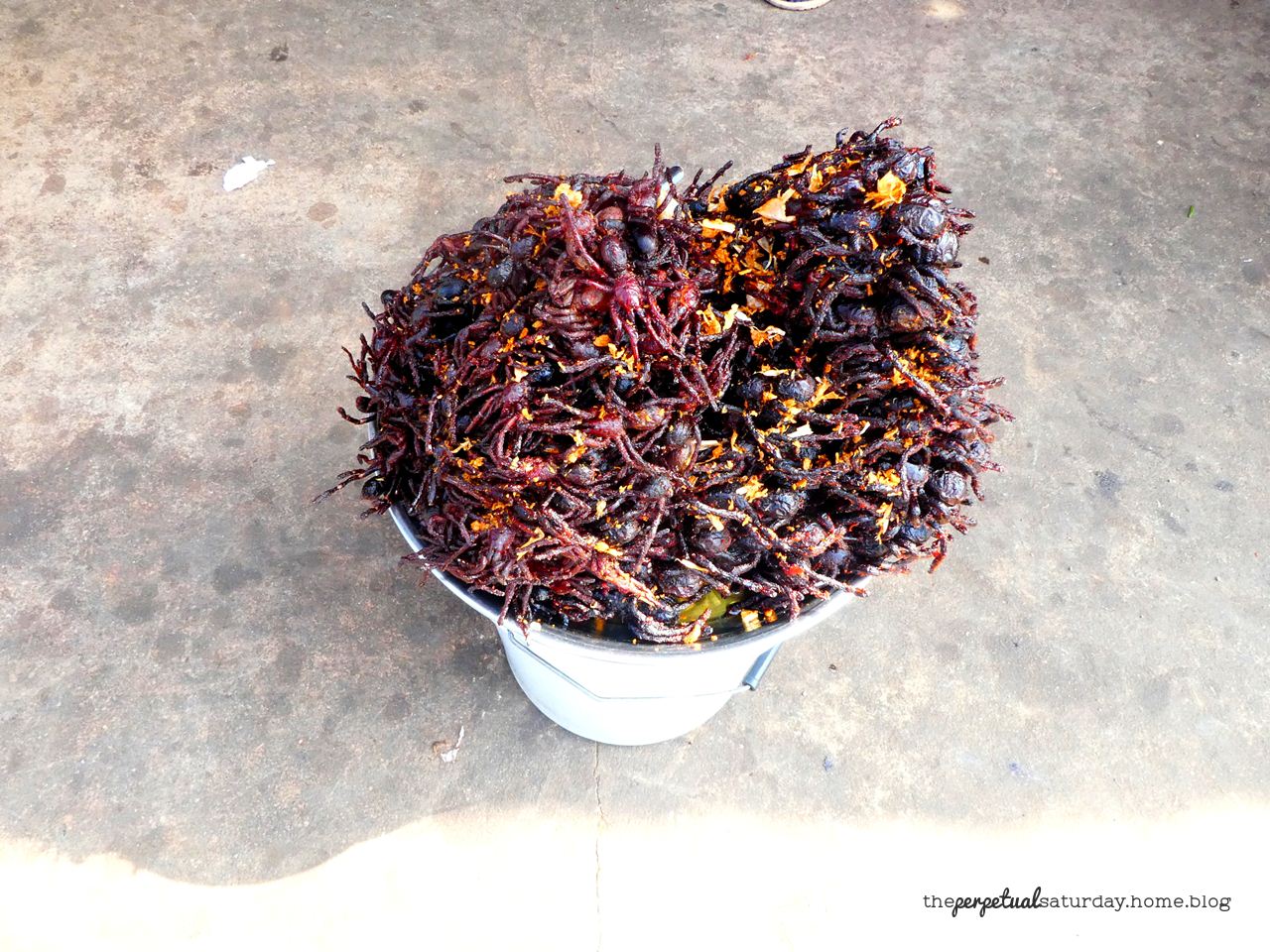 Cambodia's Spider Market