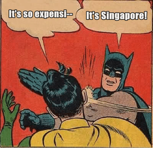 Singapore is expensive 