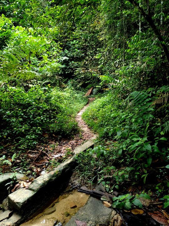 Ampang Reservoir hike