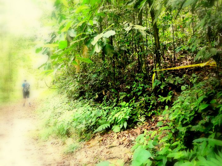 Ampang Reservoir hike