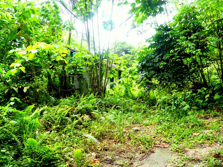 Ampang reservoir to Taman Tar hike, Bukit Kembara trail