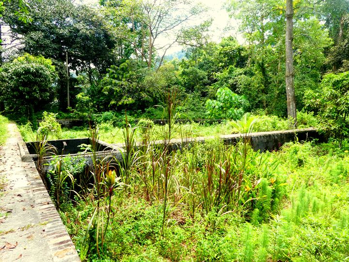 Ampang reservoir to Taman Tar hike, Bukit Kembara trail