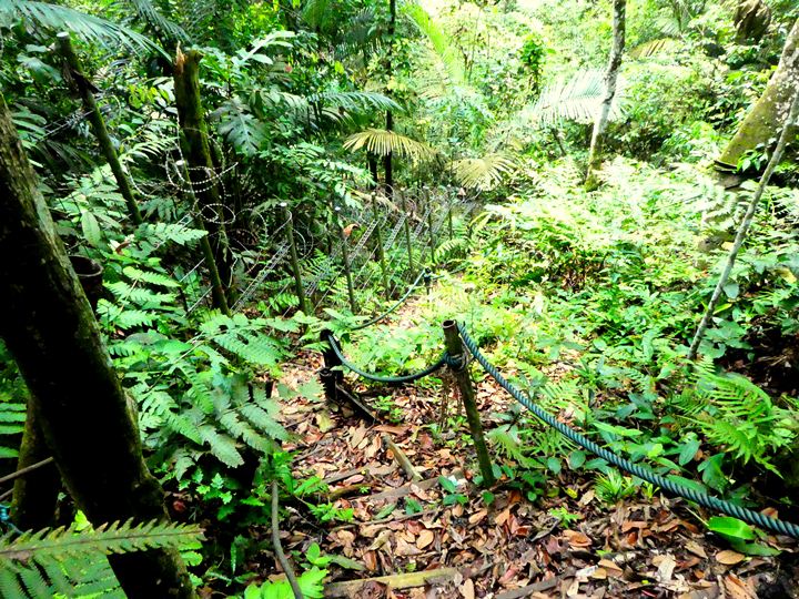 Ampang reservoir to Taman Tar hike, Bukit Kembara trail