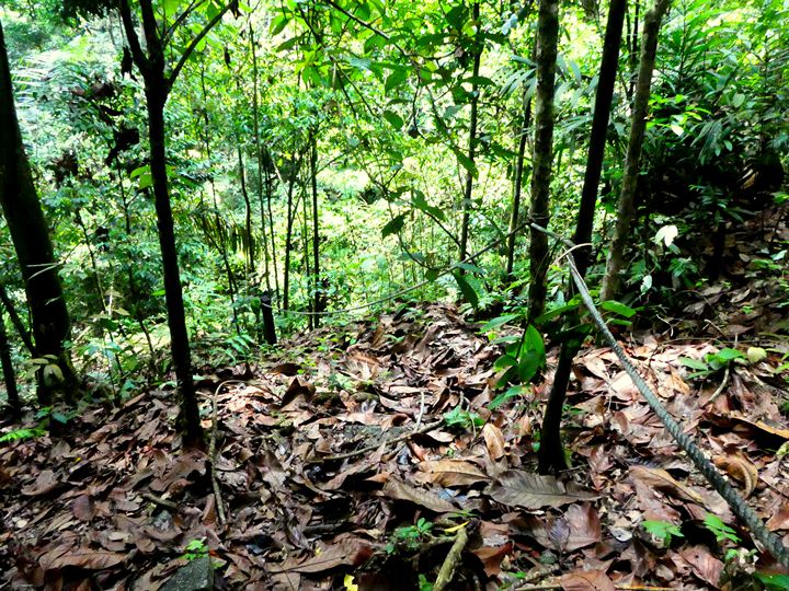 Ampang reservoir to Taman Tar hike, Bukit Kembara trail
