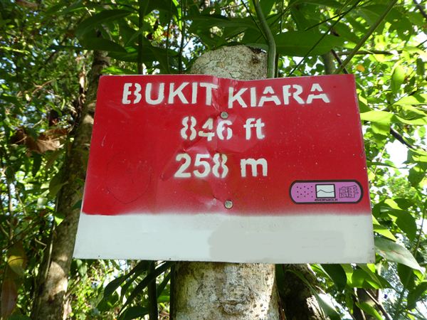 Hike From TTDI to Bukit Kiara Summit