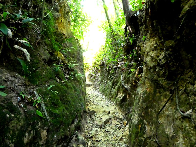 Turtle Beach hiking trail, How to get to Turtle Beach, Penang