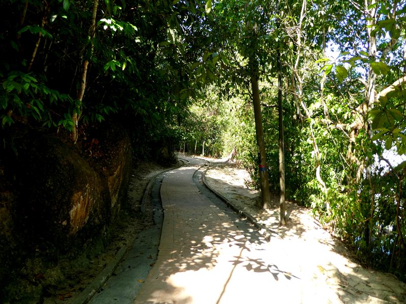 Penang National Park Hike to Turtle Beach, How to get to Turtle Beach