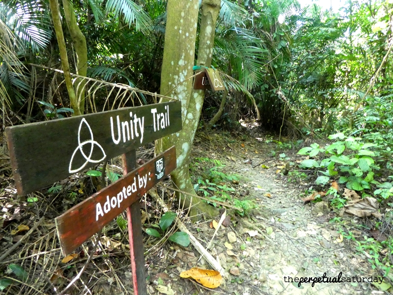 Kota Damansara Forest Reserve Hike, Unity Trail hike to Tiga Puteri Peak, Taman Eko Rimba Kota Damansara