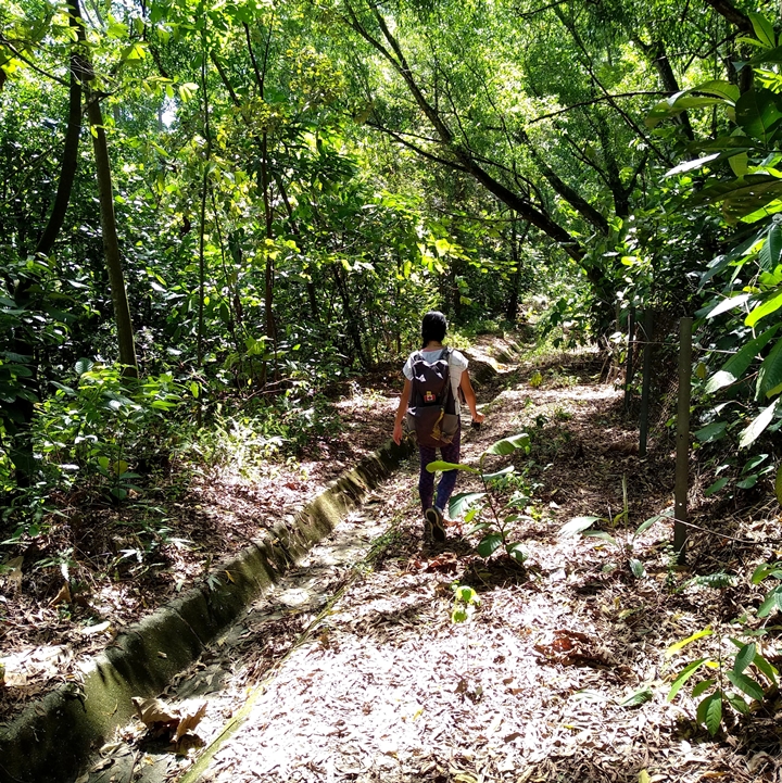 Kota Damansara Hike, Unity Trail to Tiga Puteri Peak, Taman Eko Rimba Kota Damansara