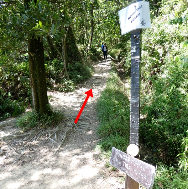 Kota Damansara Forest Reserve Hike, Tiga Puteri Peak trail, Taman Eko Rimba Kota Damansara