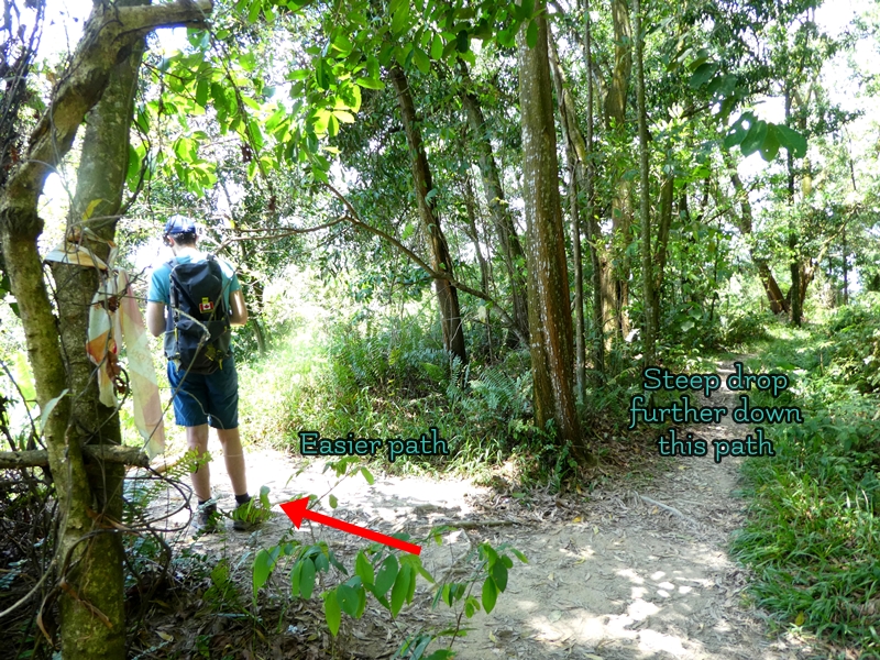 Kota Damansara Forest Reserve, Tiga Puteri Peak trail, Taman Eko Rimba Kota Damansara