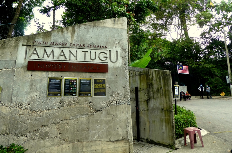 Taman Tugu Trails