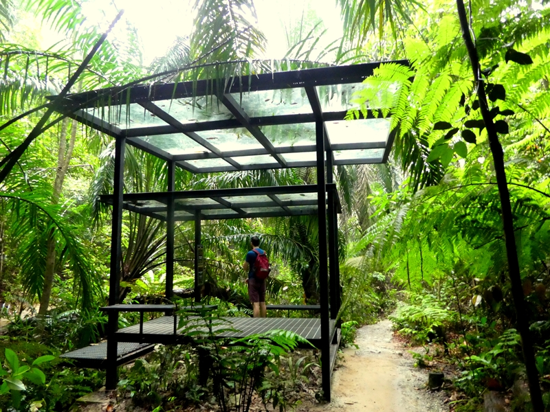 Taman Tugu Green Trail Hike