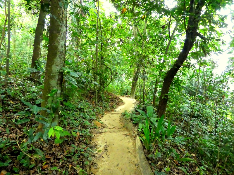 Taman Tugu Green Yellow Trail Hike, Hiking in KL