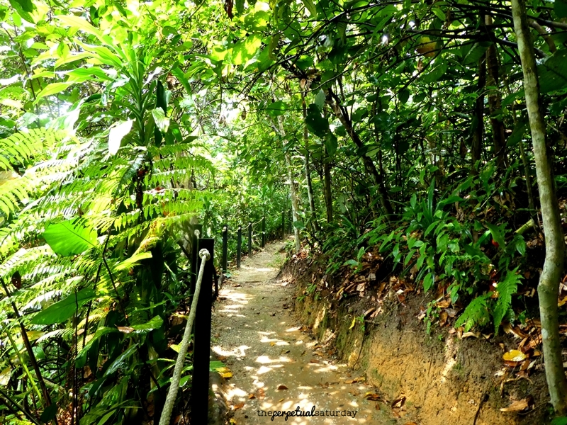 Taman Tugu Hiking Trail