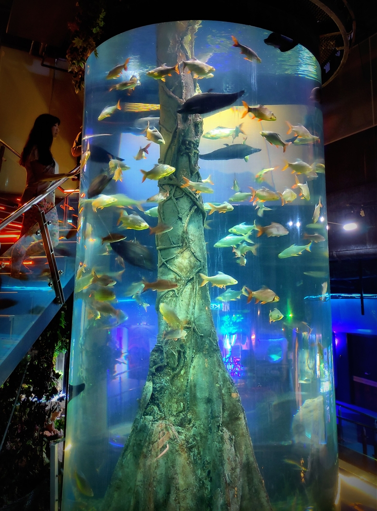 Aquaria KLCC, Aquariums in Malaysia