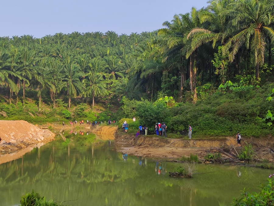 The Bukit Denai Alam Hike - The Perpetual Saturday