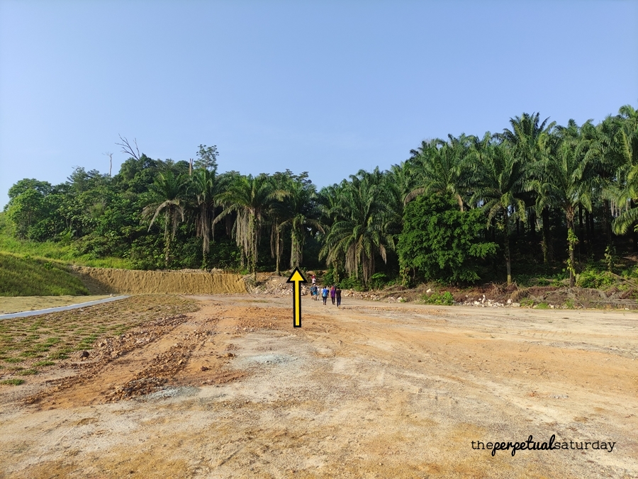 Bukit Denai Alam Trail