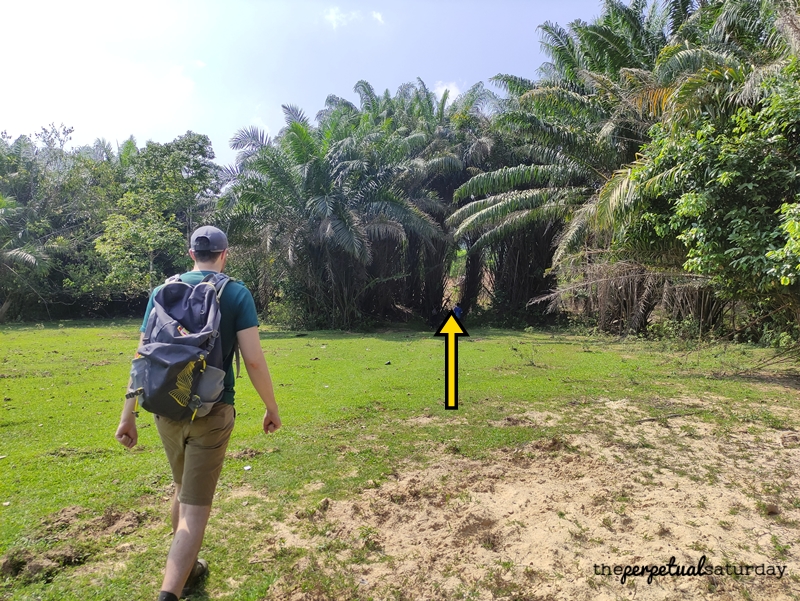 Bukit Denai Alam Hiking Trail