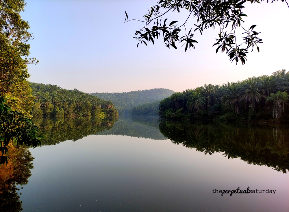 Bukit Denai Alam 