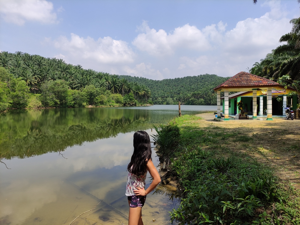 Bukit Denai Alam Hiking Trail