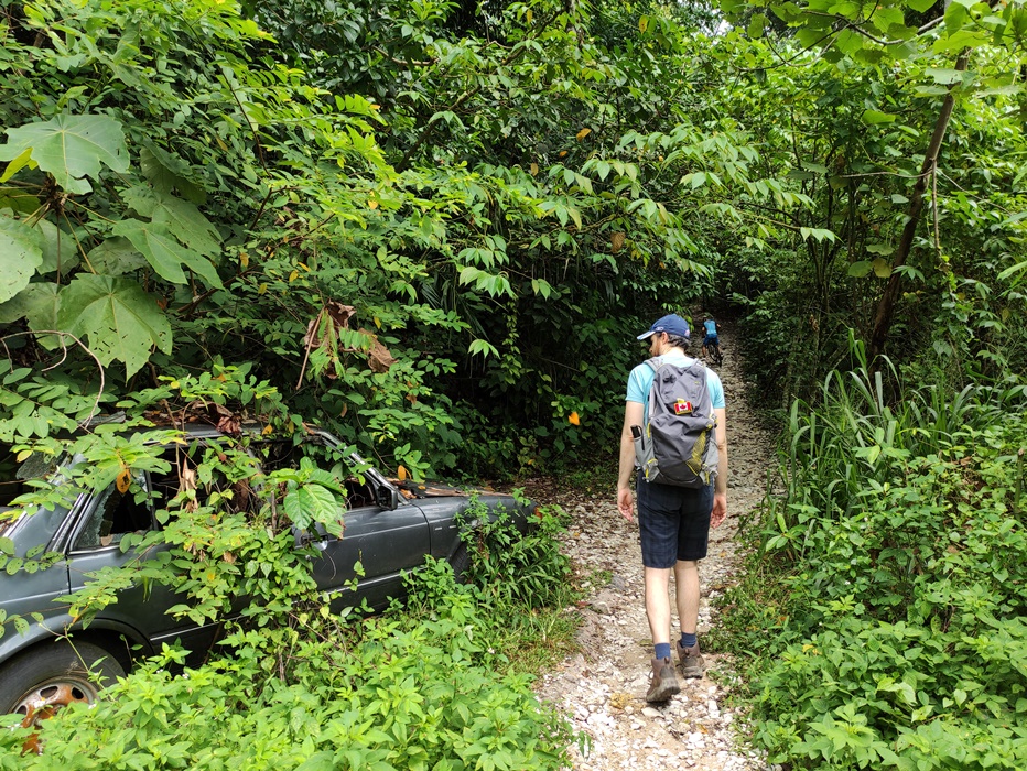 Bukit Kiara Hiking Trail