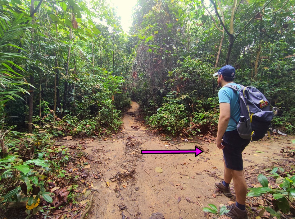 Hiking near Mont Kiara Bukit Kiara