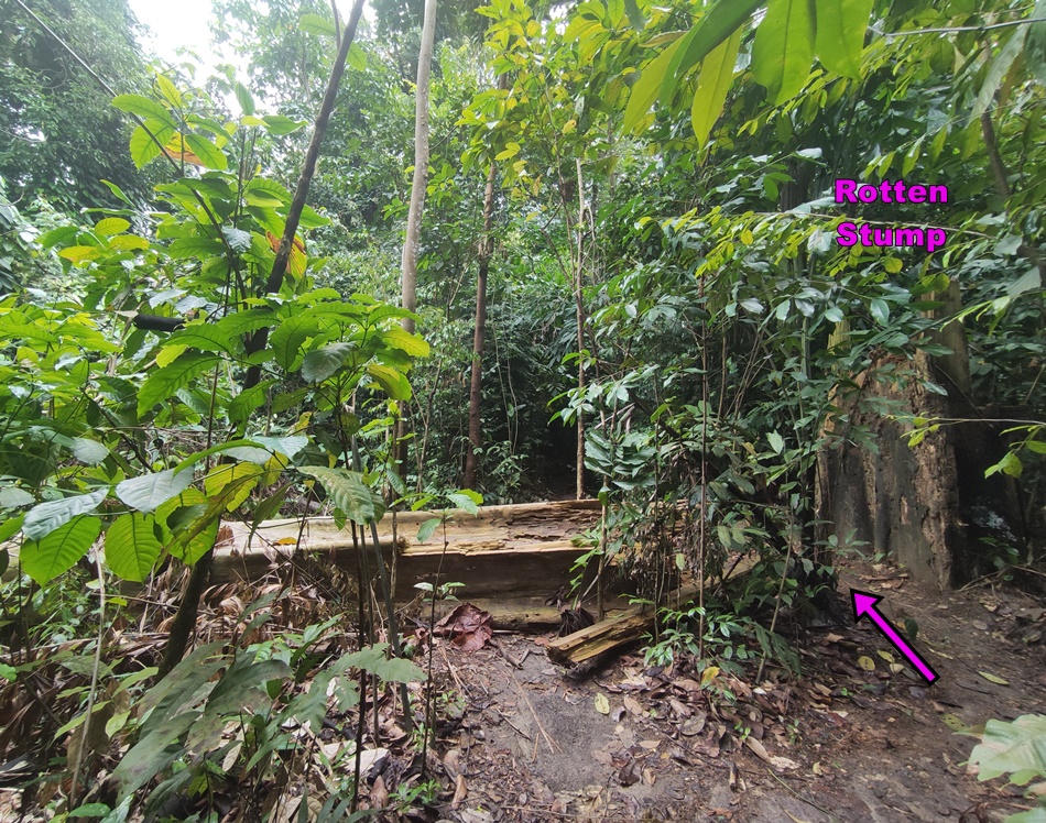 Kuala Lumpur Hiking Trails