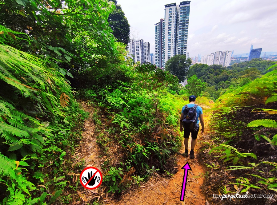 Bukit Kiara Hiking Guide, Hiking areas in KL