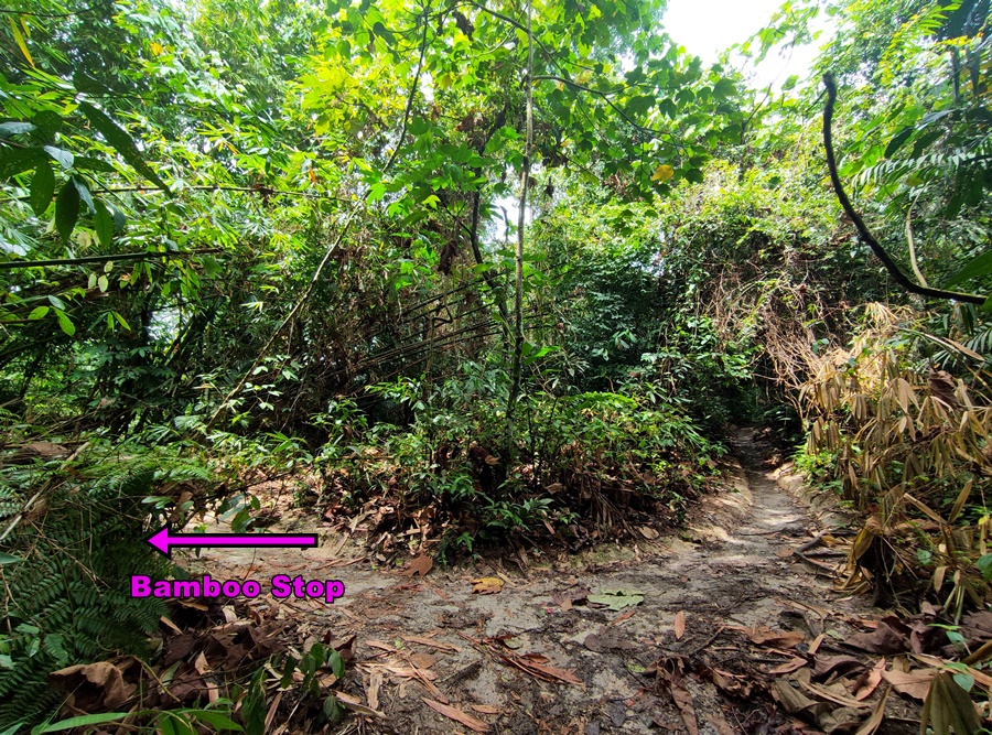 Bamboo Stop Bukit Kiara Hiking