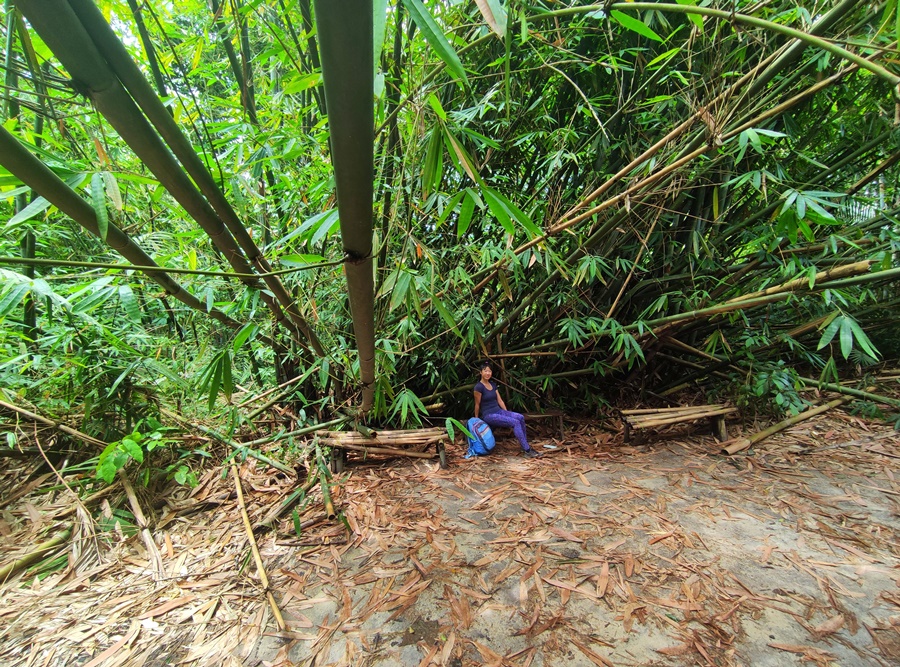 Hike to Bamboo Stop Bukit Kiara