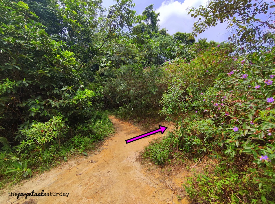 Hiking Trails in Mont Kiara, Bukit Kiara