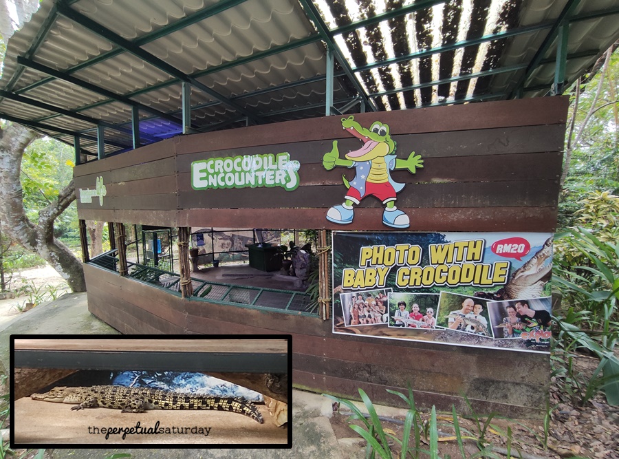 Crocodile Adventureland Langkawi packages