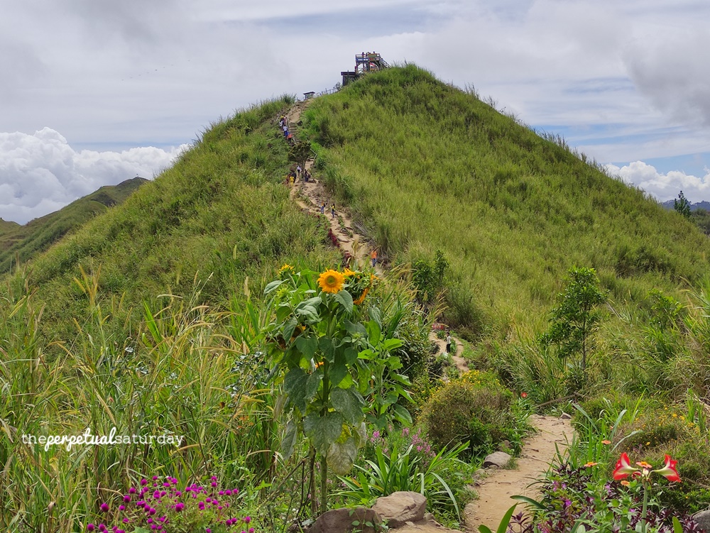 Pyramid Hill in Kundasang
