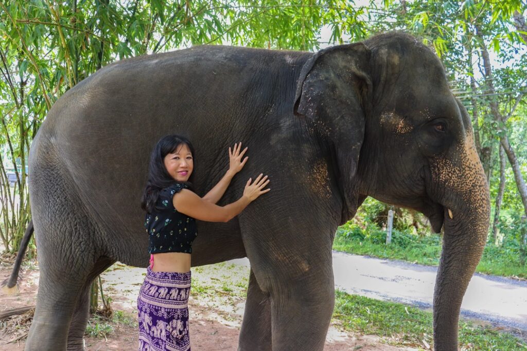 Green Elephant Sanctuary Park phuket Ethical
