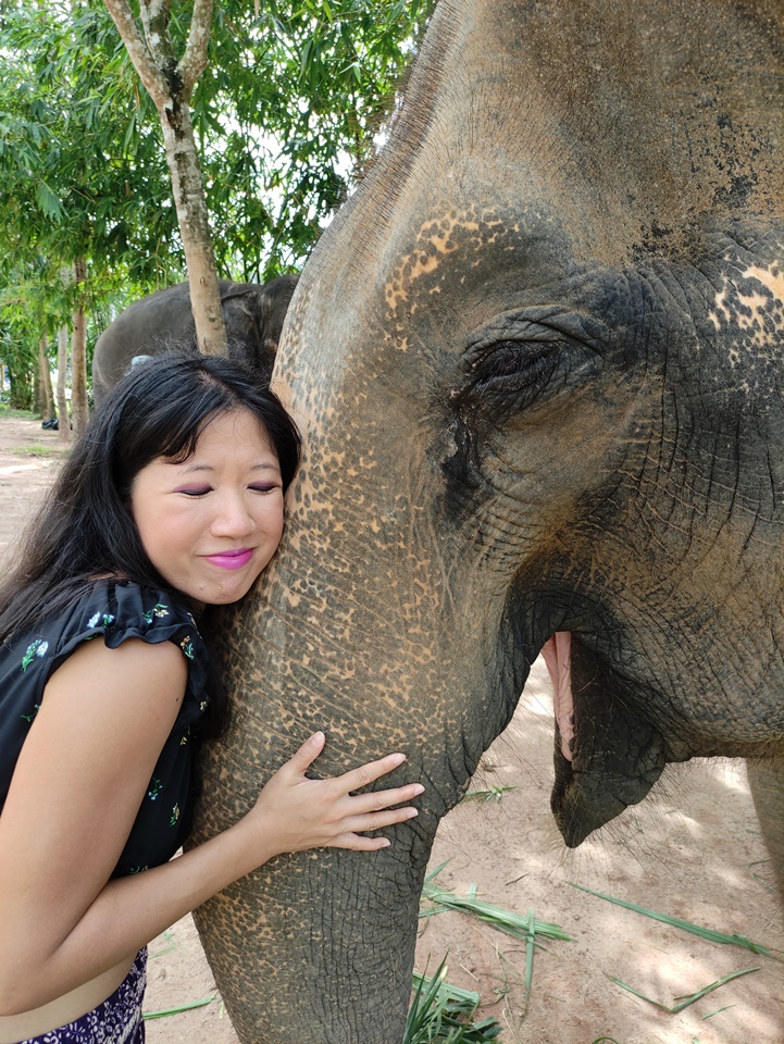 Green Elephant Sanctuary Park review, Elephant parks in phuket