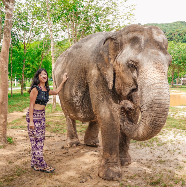 Green Elephant Sanctuary Phuket Thailand