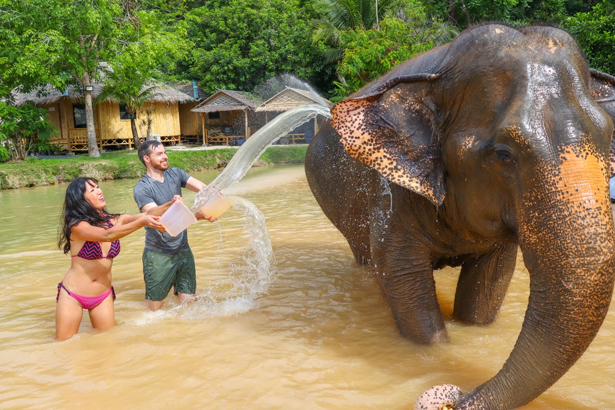 Everything You Need to Know Before Visiting Green Elephant Sanctuary Park