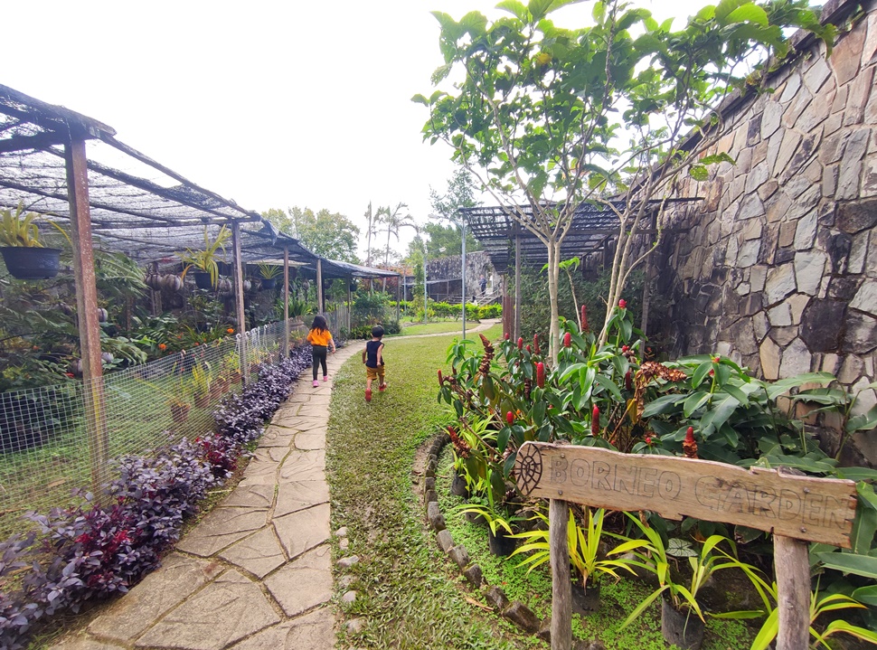 Kundasang War Memorial Gardens, What to do in Kundasang, Sabah