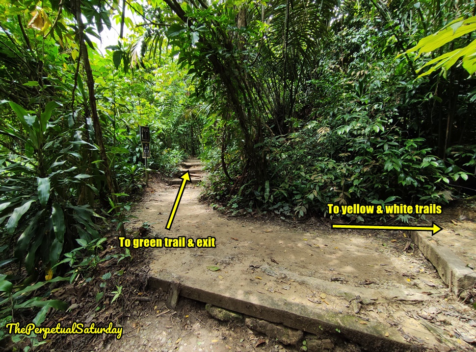 Taman Tugu Hiking guide, Best family activities in KL