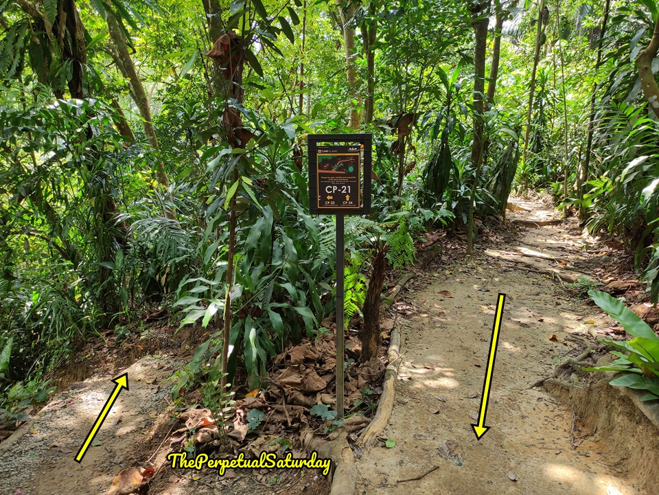 Taman Tugu hiking, What to do in KL this weekend