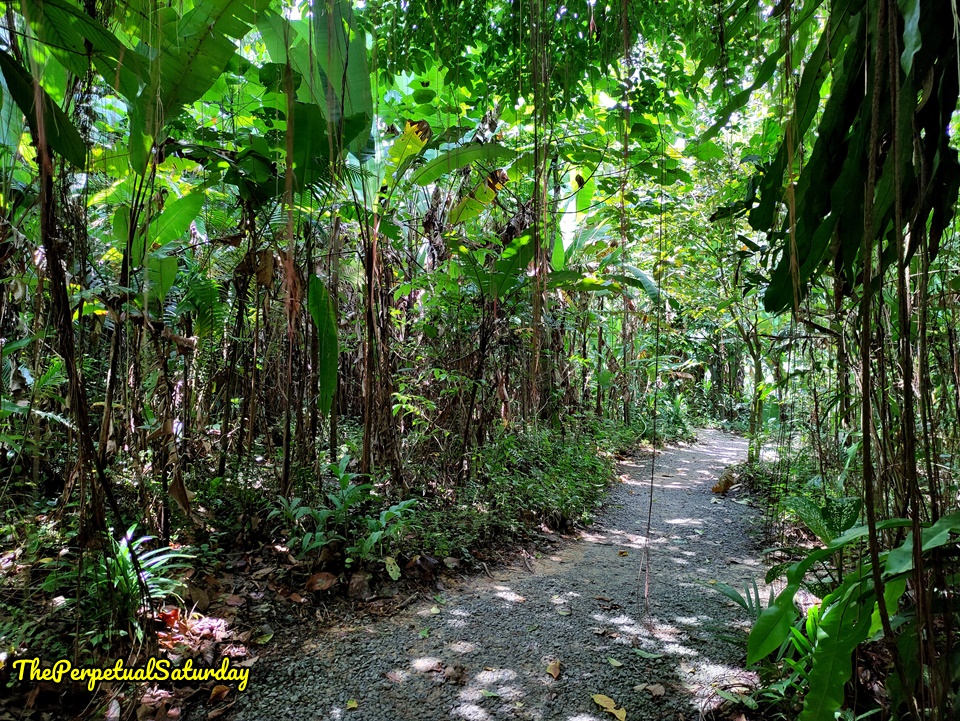 Taman Tugu Orange Hiking trail