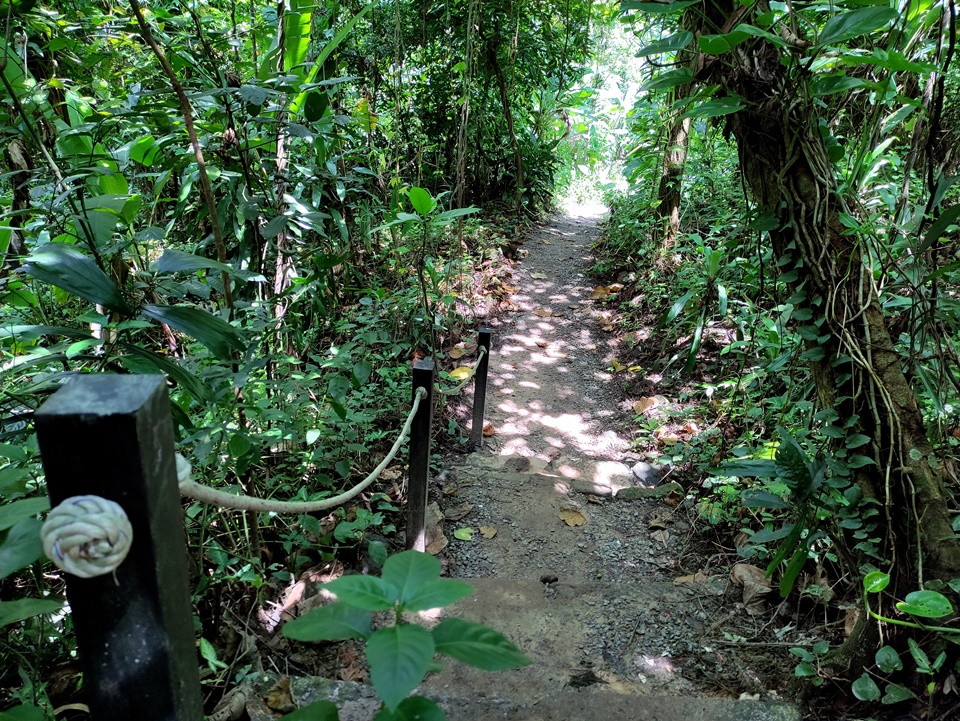 Taman Tugu Orange Trail, Hiking trails in Taman Tugu