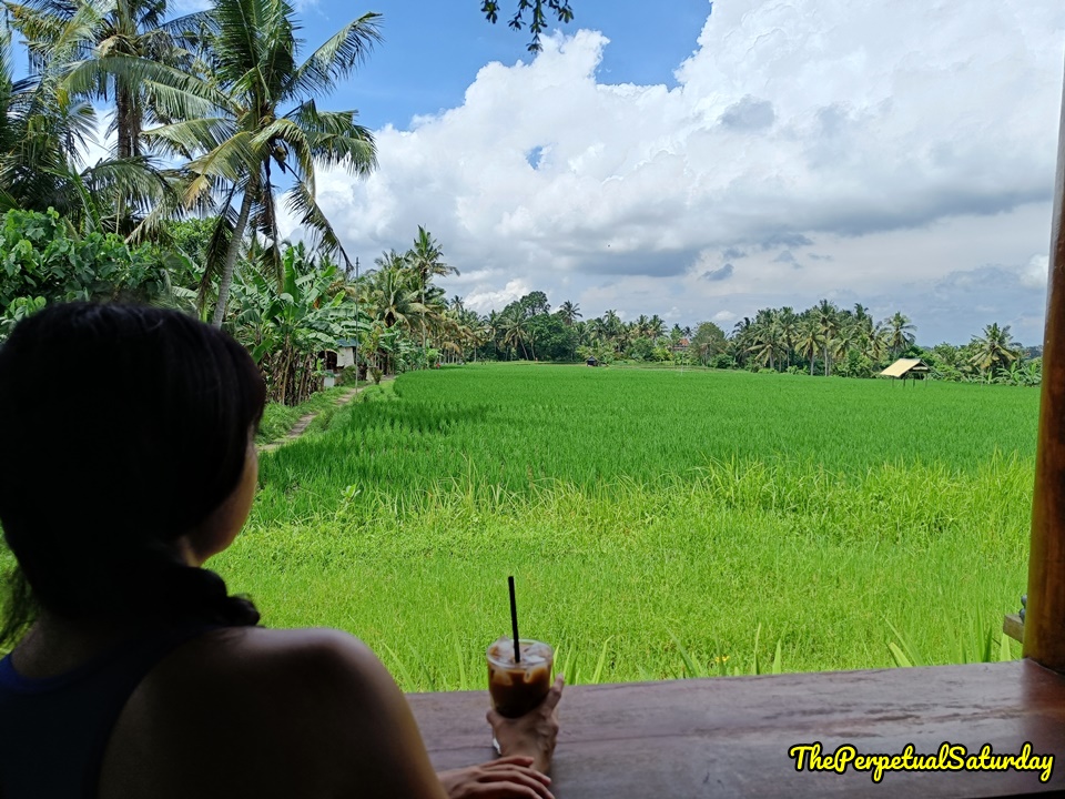 Juwuk Manis Rice Fields Ubud Bali, Best things to see in Ubud