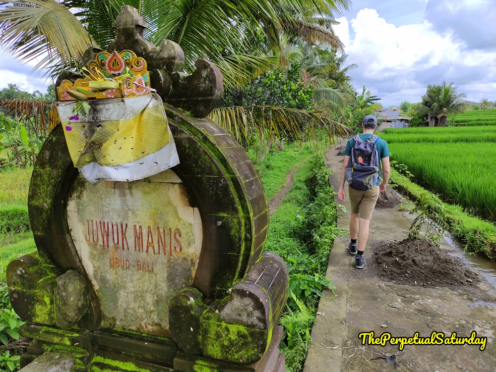 Juwuk Manis Rice Field Walk Ubud Bali