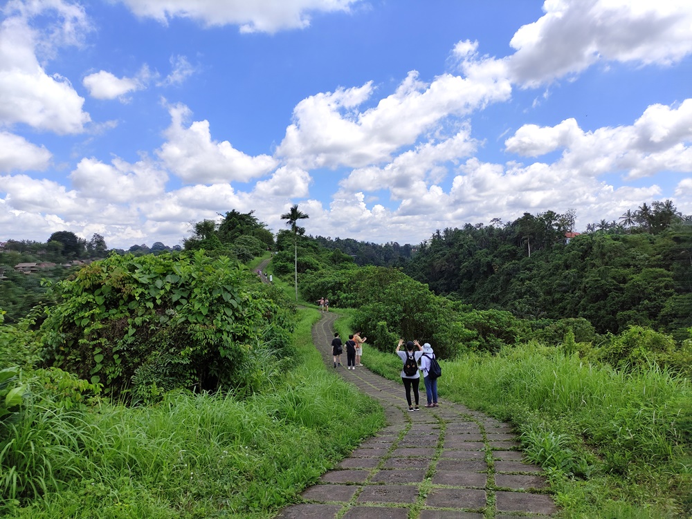 The Campuhan Ridge Walk: Complete Guide with Hiking Directions