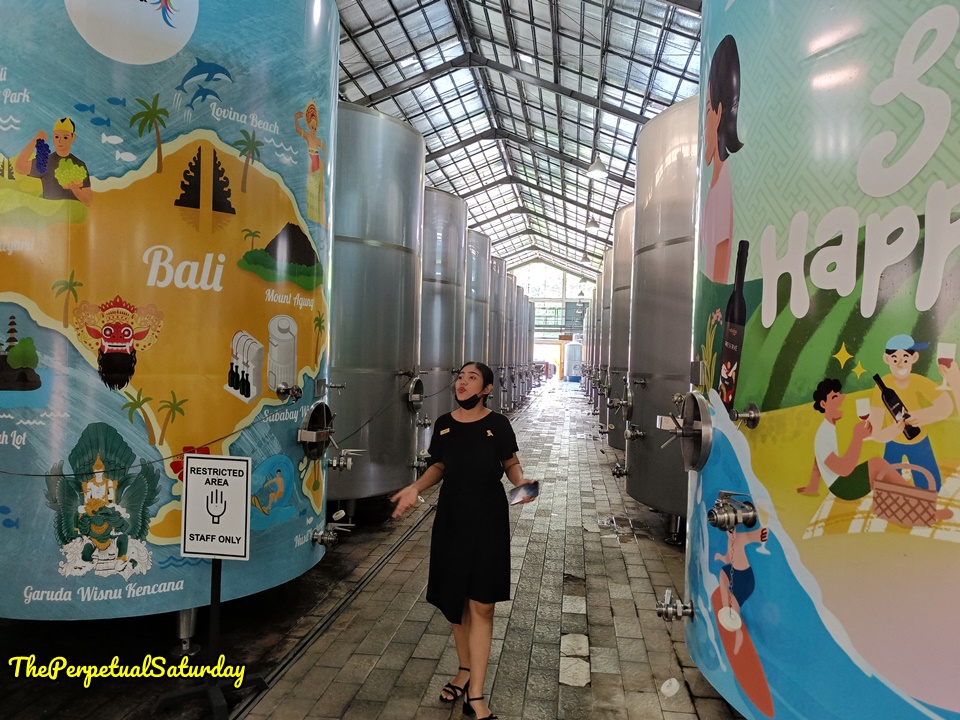 Sababay Winery Tour Review, Attractions in Bali Indonesia