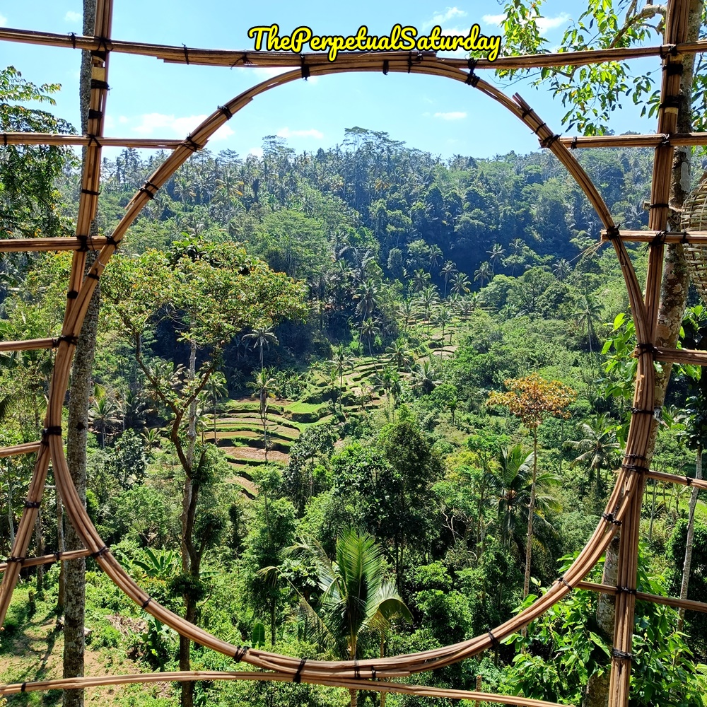 Kumulilir Bali, Luwak Coffee plantations in Bali